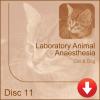 Laboratory Animal Anaesthesia - Cat & Dog