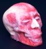  Muscled Skull