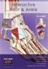 Interactive Foot and Ankle