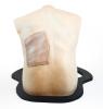 Midscapular Thoracentesis Trainer